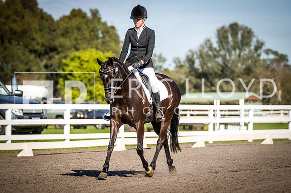 SRD511