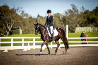 SRD518