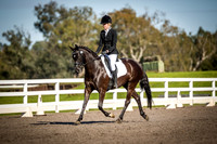 SRD519