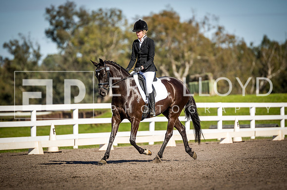 SRD519