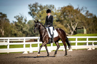 SRD520