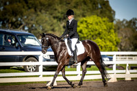 SRD523