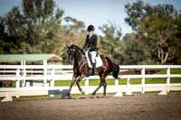 SRD527