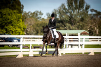 SRD528