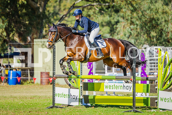 IMGP8662