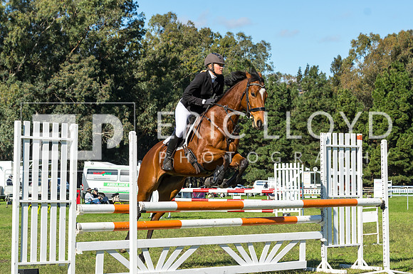 ERIC0343