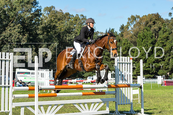 ERIC0344