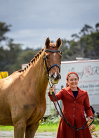 Fridays Trot up