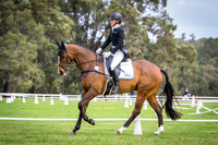 Eventing WA CCI 4 Star S