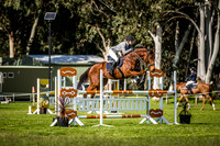 2a. Thoroughbred Sport Horse Association 1.10mSuper 2 Phase