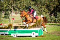 DSCF1746