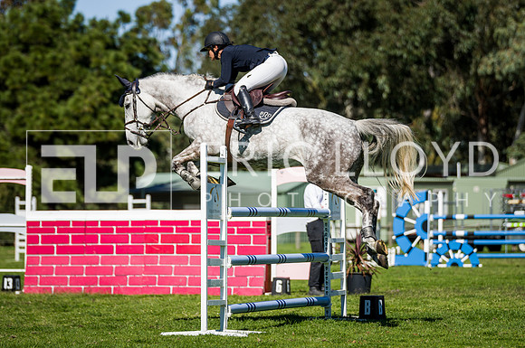 WASJA-803