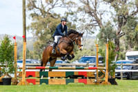 Show jumping