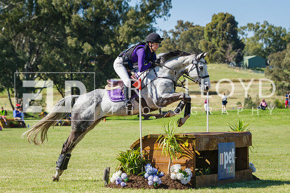 IMGP3646