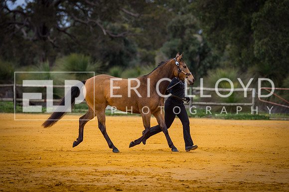 untitled-0102-2