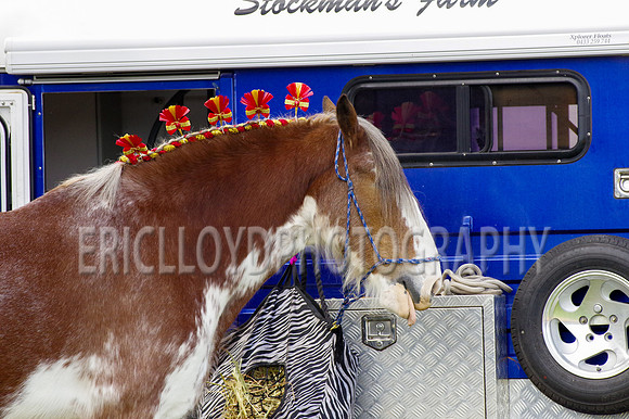 Bev Ag 2014-5092