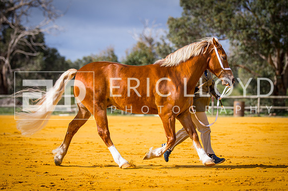 untitled-9695