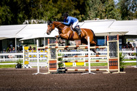 CLASS 8 THE 1.40M PATERSONS PLATE