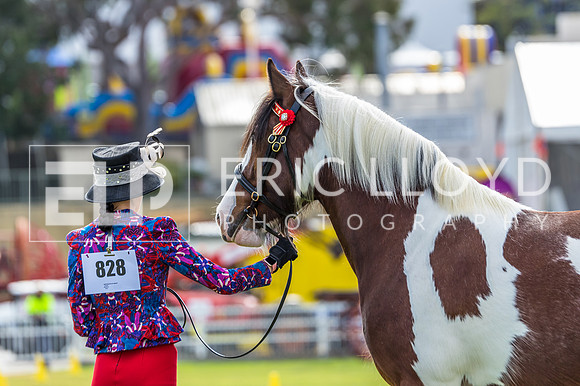 untitled-4856