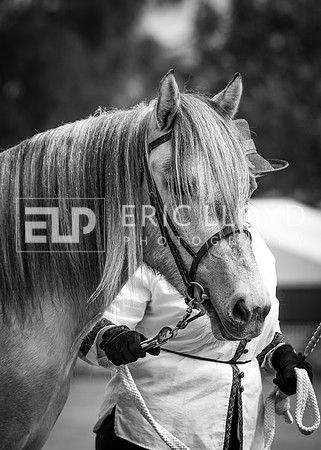 untitled-5462-2