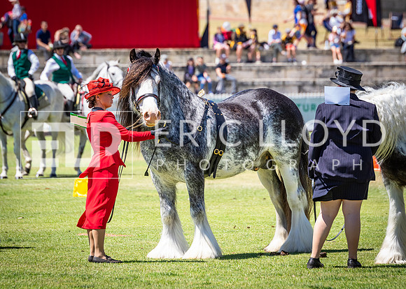 untitled-5798