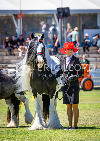 untitled-5832