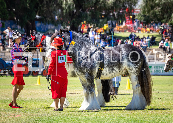 untitled-5834