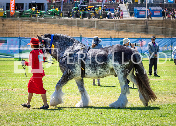 untitled-5846