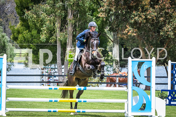 IMGP6808