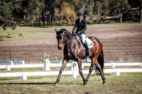 Dressage