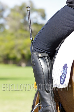 ARCA WH 2014-6561