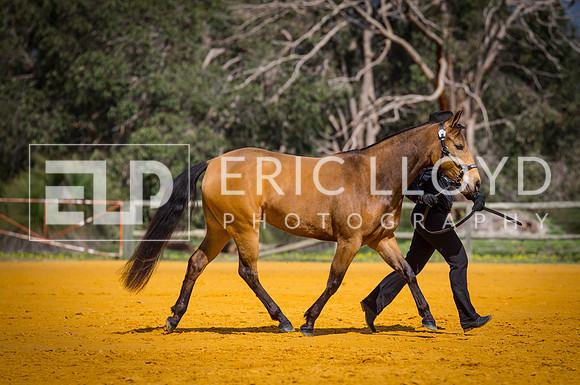 untitled-0457