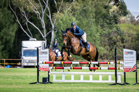 4 - Budget Stockfeeds Ruby Championship 100cm
