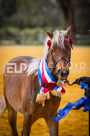 untitled-0057-2