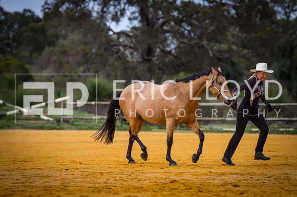 untitled-0075-2