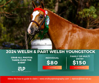2024 Berrybank Stud Welsh & Part Welsh Youngstock Show February 2024-photos