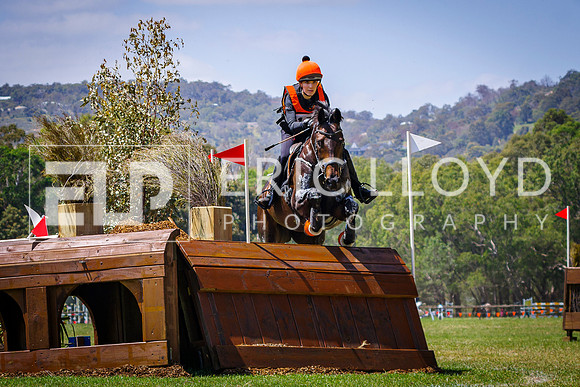 IMGP8999