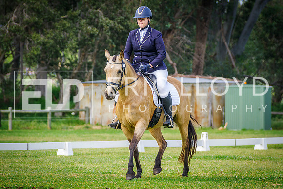 IMGP4920