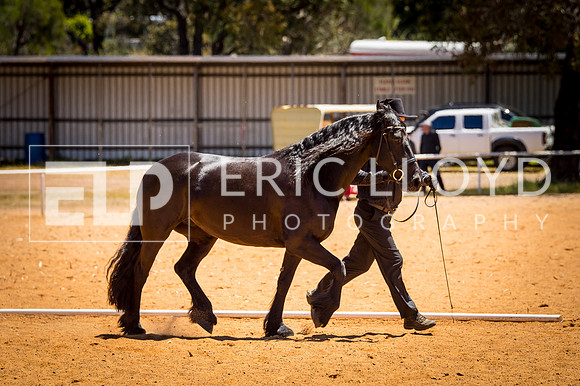untitled-0222