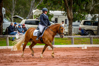 Swan Valley Dressage Boutique Show 2016