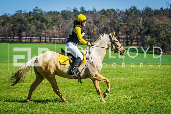 IMGP1882