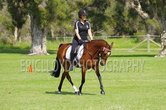 ARCA WH 2014-6563