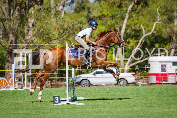IMGP1214