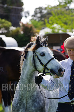 Jess-2504