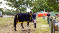 Sun' Arvo Presentations