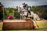 Section 8 CCI2S CCI2Star-S