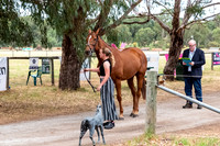 Monday Morning Trot Up