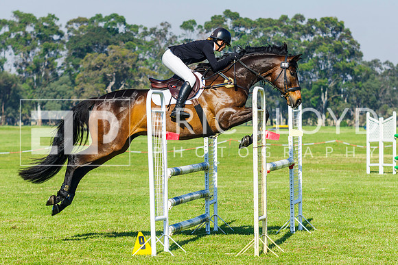 IMGP9732