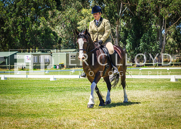 IMGP9131