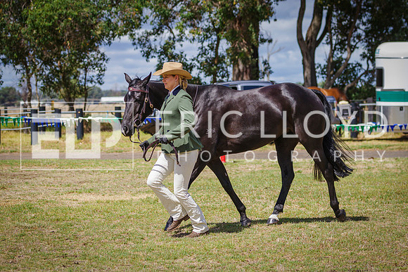 IMGP8537
